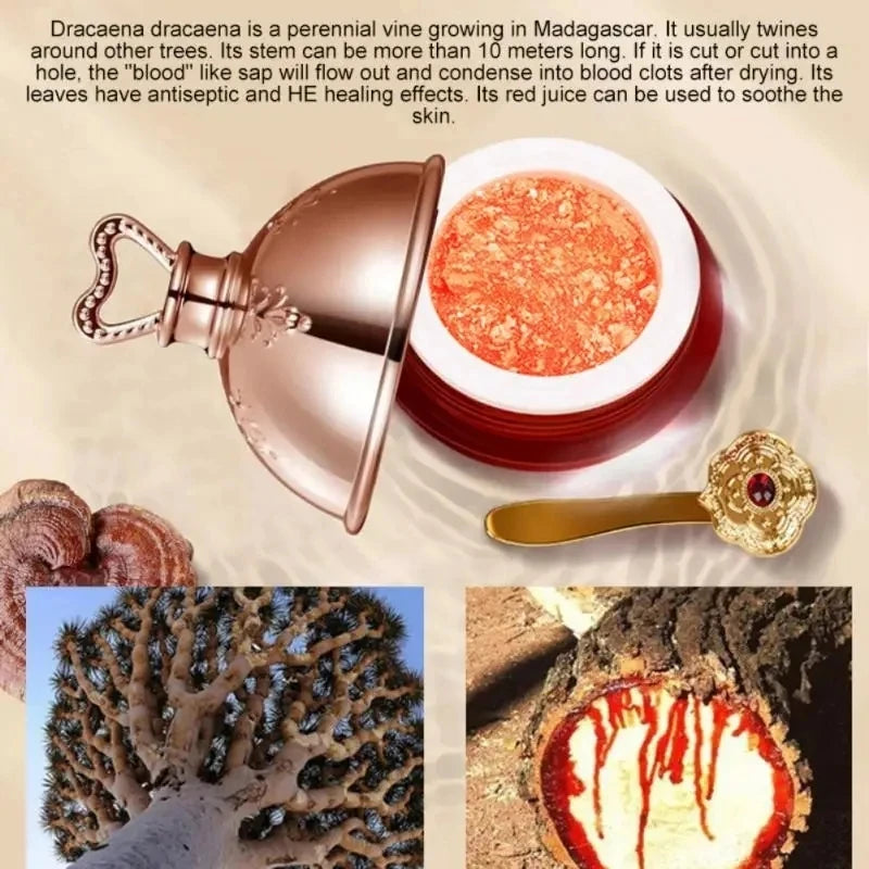 Dragon's Blood Face Cream Retinol Placenta Essence Brightening Lift Firming Skin Care Korean